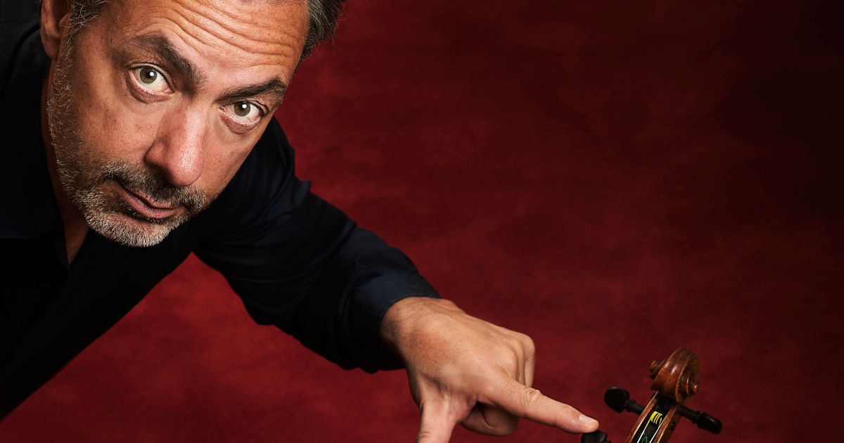 A Violin Affair — Micha Molthoff